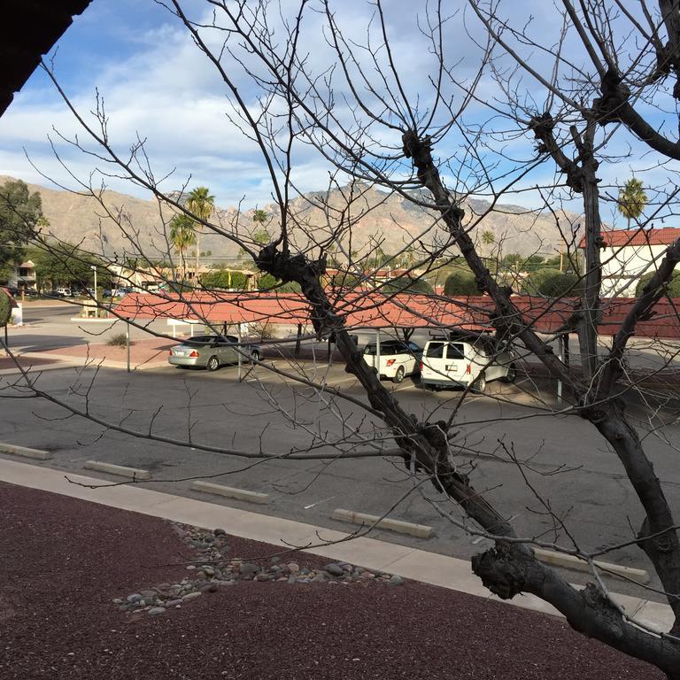 Casas Adobes Condo Tucson Cameră foto